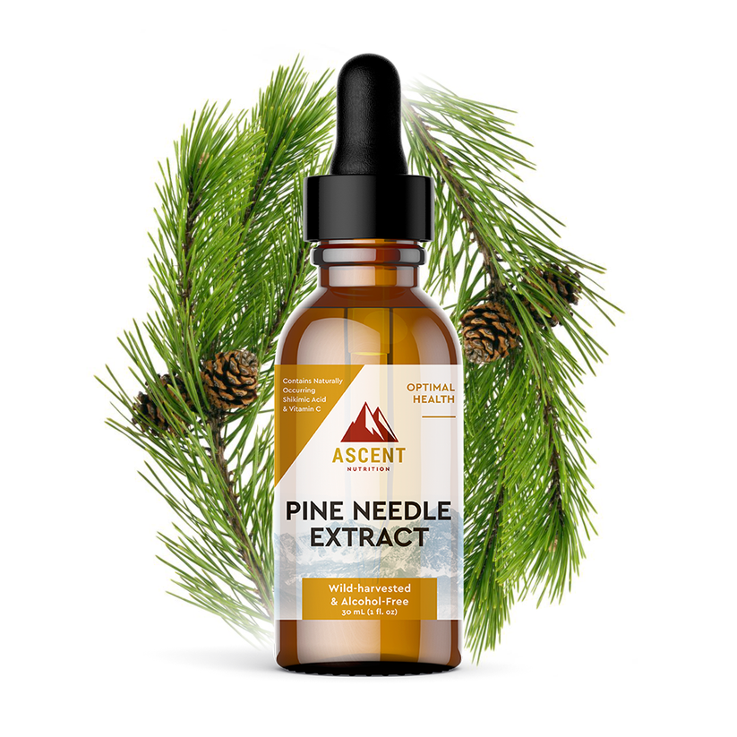 Pine Needle Extract