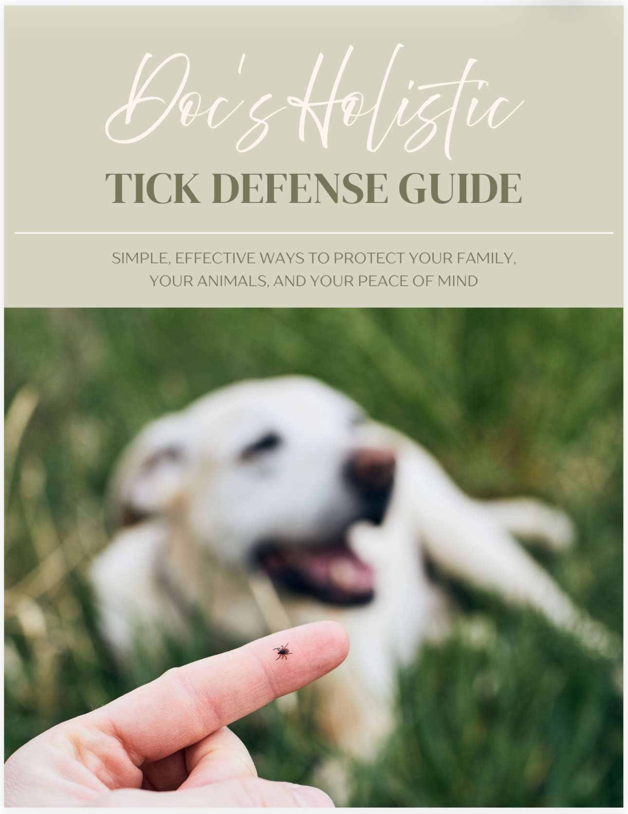 Holistic Tick Guide