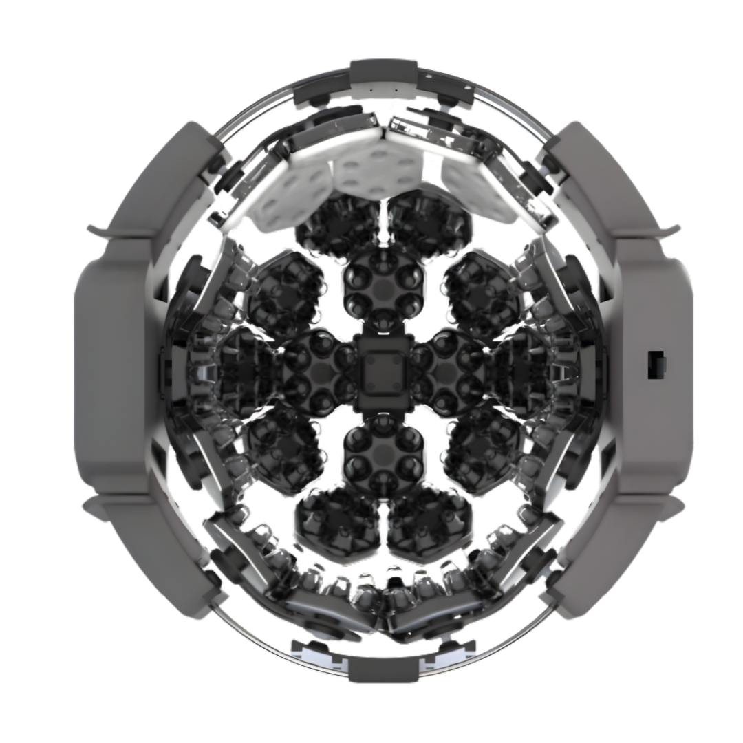 WeberBrain