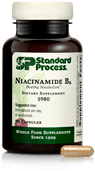 Niacinamide B6 90 ct